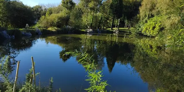 Gîte - coin - des - rêveurs - Hellean - Brocéliande