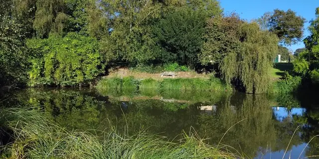 Gîte - coin - des - rêveurs - Hellean - Brocéliande