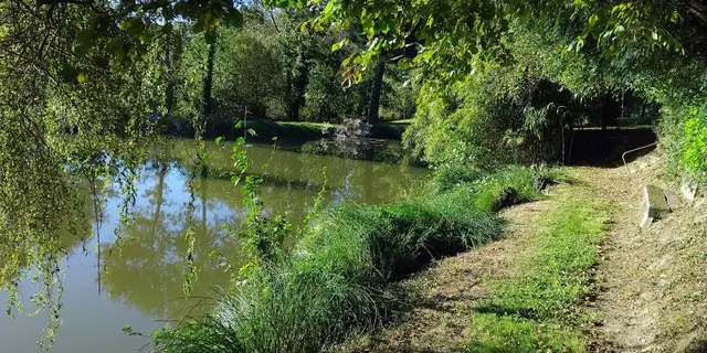 Gîte - coin - des - rêveurs - Hellean - Brocéliande