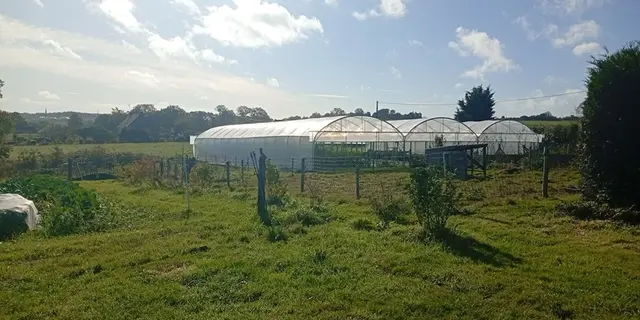 la ferme des vivants - producteur - maraichage - Taupont