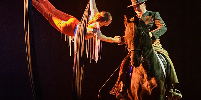 Les chevaux dansent à la bodega