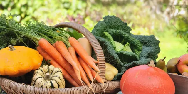 Marché - terroir - Guégon - Destination - Brocéliande