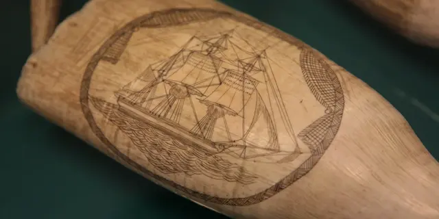 musée des sciences naturelles