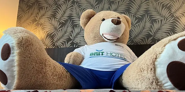 brit hotel L'Hippodrome - mascotte - Ploërmel - Morbihan -  Bretagne
