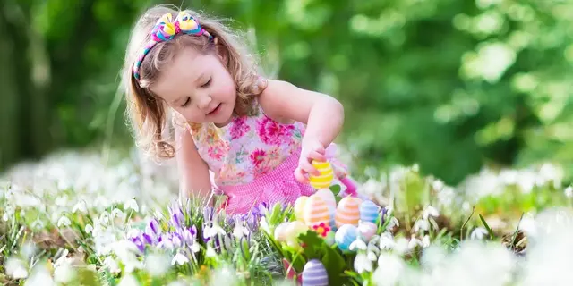 Chasse-oeufs-Josselin-Brocéliande-Morbihan-Bretagne