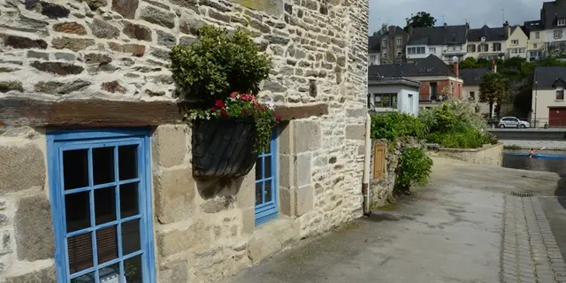Chambre d'hôtes-Maison de l'oiseau-Josselin-Brocéliande-Bretagne