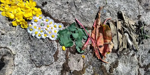 animation nature - Loyat - Morbihan