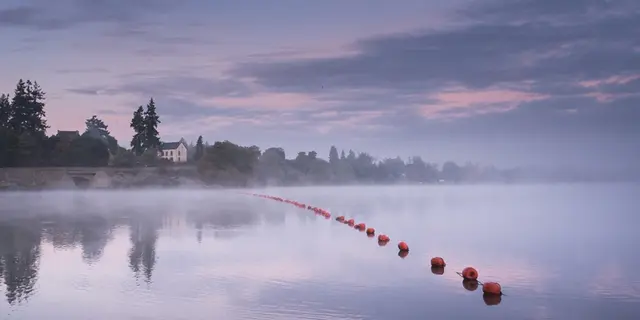 Lac au Duc - paysage - Ploërmel communauté - Brocéliande - Bretagne
