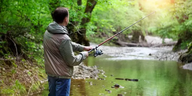 Le brochet