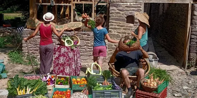 ferme_la-bouvrais-rumex_maraichage_brebis_Concoret_DestinationBroceliande