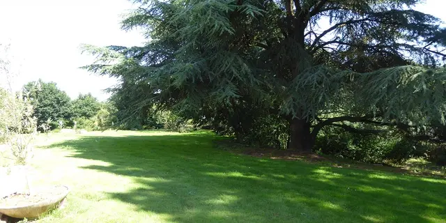 Chambre - hôtes - Domaine - Chesnaie - Josselin - Brocéliande - Bretagne