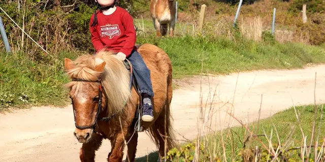 poney club des tifilous - Taupont - Morbihan