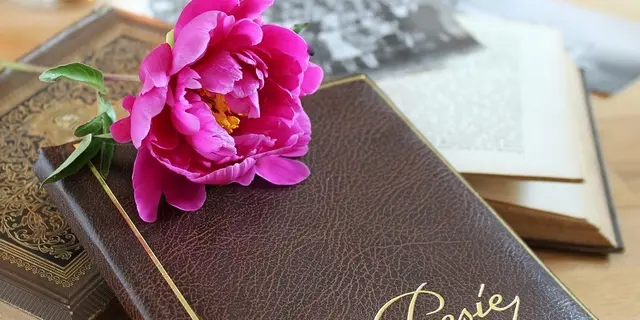 Festival - Slam - Poésie - Josselin - Brocéliande - Morbihan - Bretagne