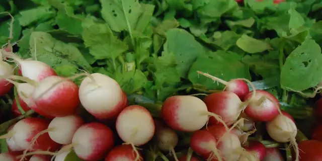 produits de pays _ pays de montfort en broceliande (2)