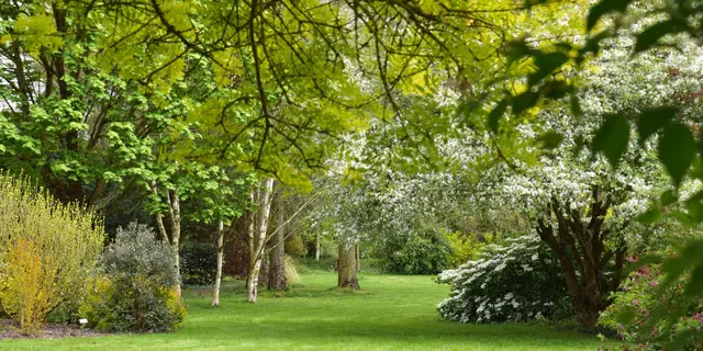 Jardin à l'anglaise