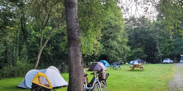Camping - Cerisiers - Guillac - Josselin - Brocéliande - Morbihan - Bretagne