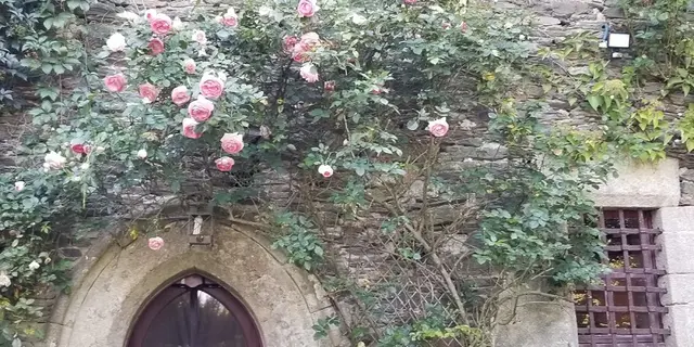 Chambre-hôtes-La-Gaudinais-Ploërmel-Destination-Brocéliande-Bretagne