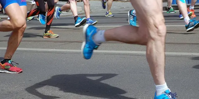 bourgad'tail de mauron