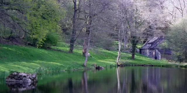 sentier-des-landes-val-jouin-lizio