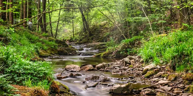 Nature et conte
