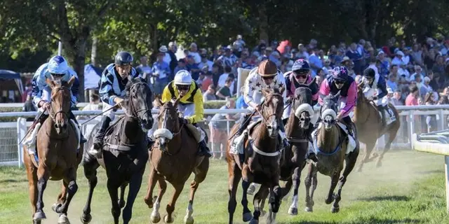 courseshippiques_mauron_destinationbroceliande