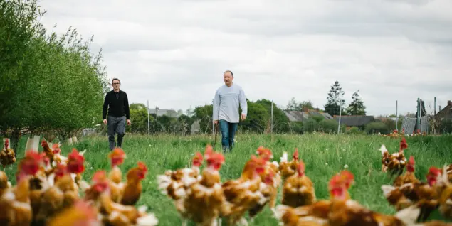 Aire camping-cars à la ferme - Mauron - Brocéliande - Morbihan - Bretagne