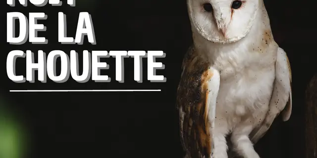 Nuit de la Chouette