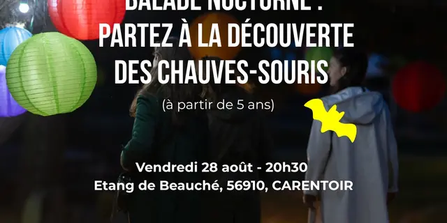 Facebook : Nuit des chauves-souris - 1