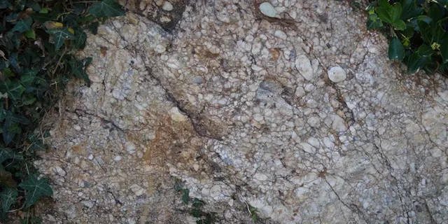 jardin-aux-moines_balade_geologique_Néant-sur-Yvel_Tréhorenteuc
