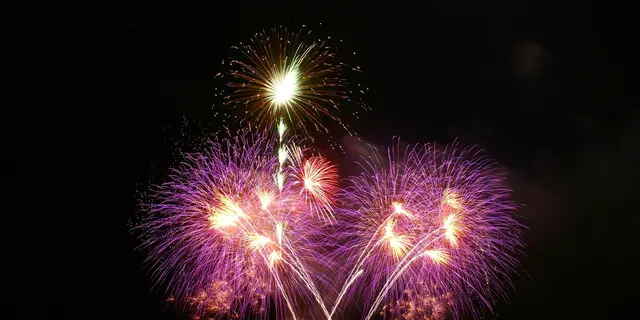 Feu d'artifice-Libre de droits