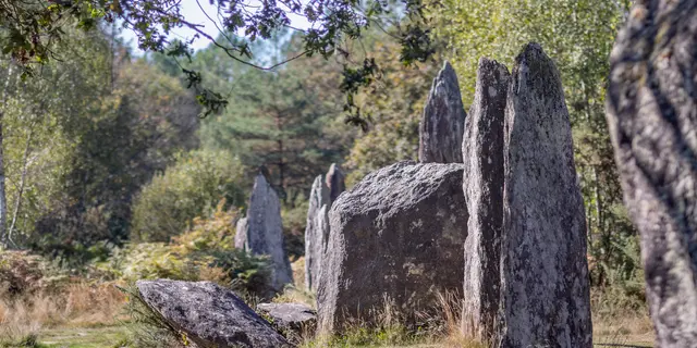 Le-neo-dans-tous-les-sens--NoellaPennanech---Destination-Broceliande-2
