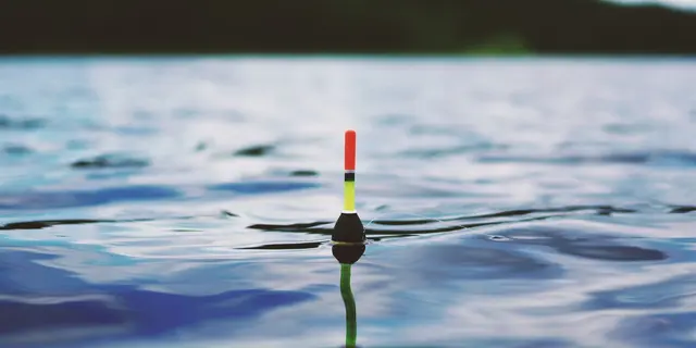 Pêche