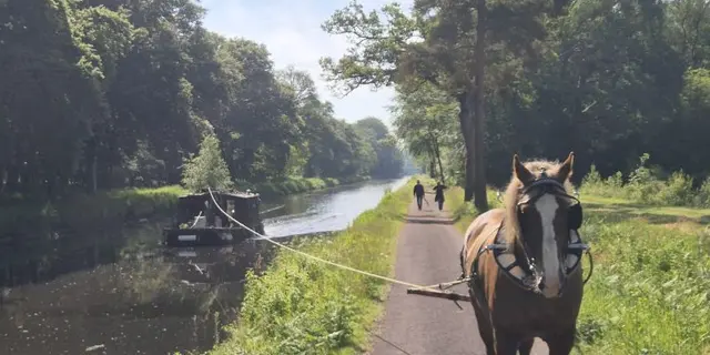 Dimanche - canal - halage - cheval - Tertraie - Brocéliande - Morbihan