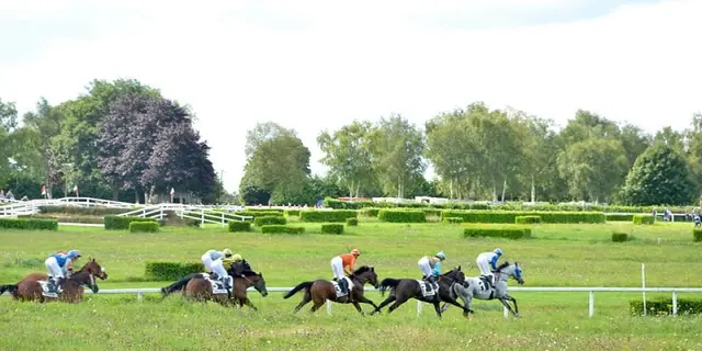 courseshippiques_mauron_destinationbroceliande
