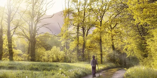 Marche gourmande - Guillac - Destination Brocéliande