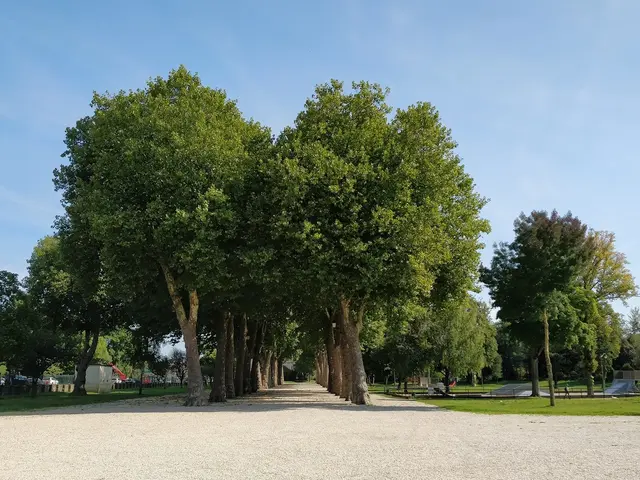 parc_jard_saintdizier.jpg