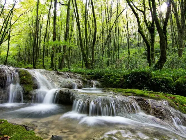 ruisseau du Caillon © C. Novello.JPG