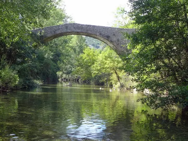 Pont moutonnier - © SMGSNav.jpg
