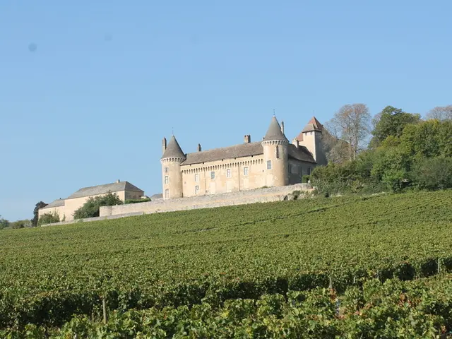 1925393_072-chateau_de_rullyjpg.jpg