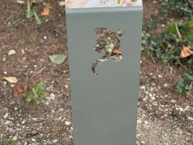 arboretum_VLF_2.jpg