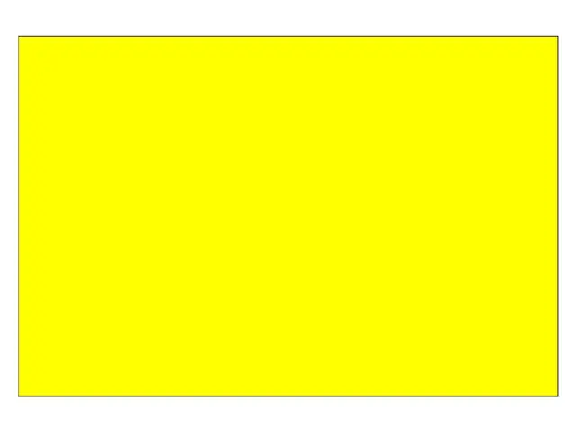 rectangle jaune.jpg