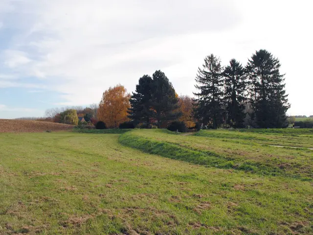 circuit autour chateau (7)_merlons de Seraing-le-Château.JPG