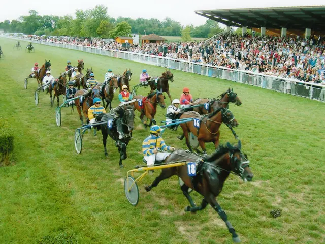 hippodrome-chevaux_montier-en-der.jpg