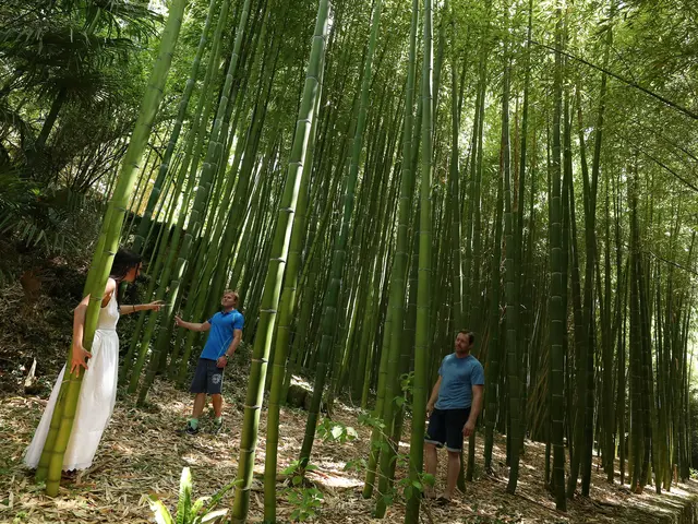 La_roque_gageac (18).jpg