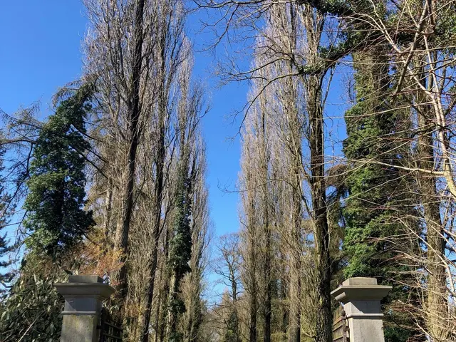 EEC Découverte E-Drève château de Rosoux.jpg