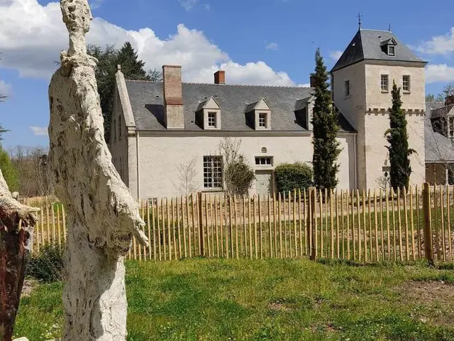 téléchargement.jpg