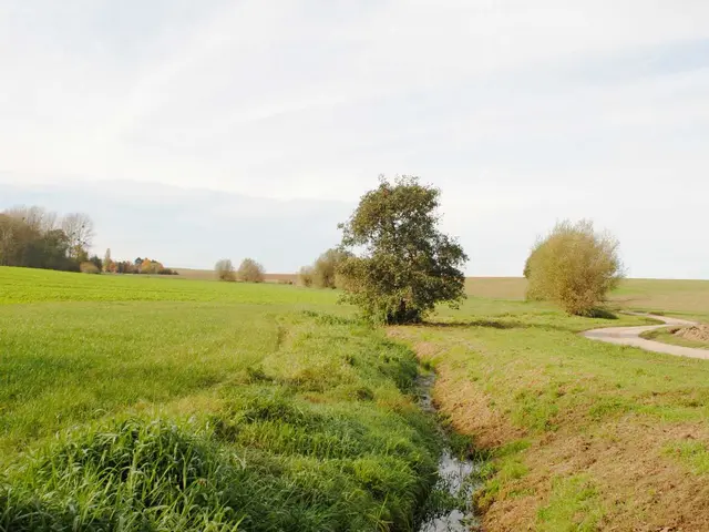 circuit autour chateau (8)_ruisseau de Seraing-le-Château .JPG