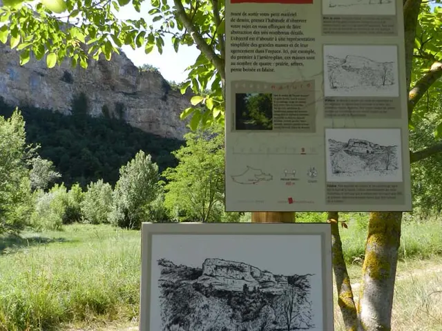 panneau 9 La falaise.jpg