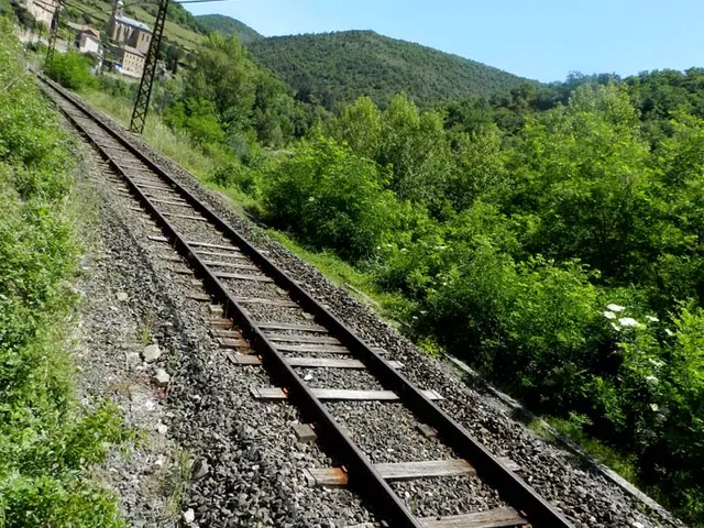 Chemin de fer.jpg