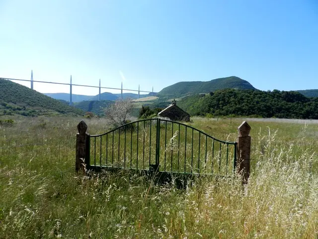paysage.jpg